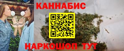 индика Обнинск