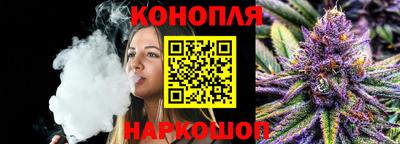 индика Обнинск