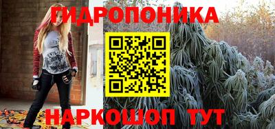 индика Обнинск
