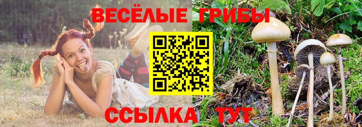 Галлюциногенные грибы ЛСД  Вход с VPN  Рославль  Галлюциногенные грибы ЛСД 