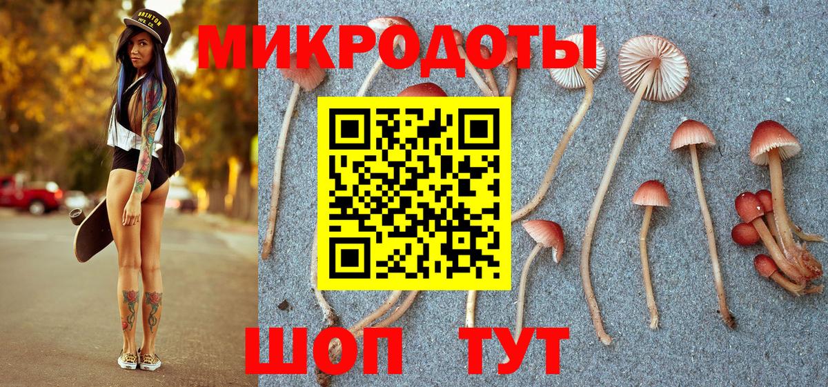 Галлюциногенные грибы мухоморы Рославль