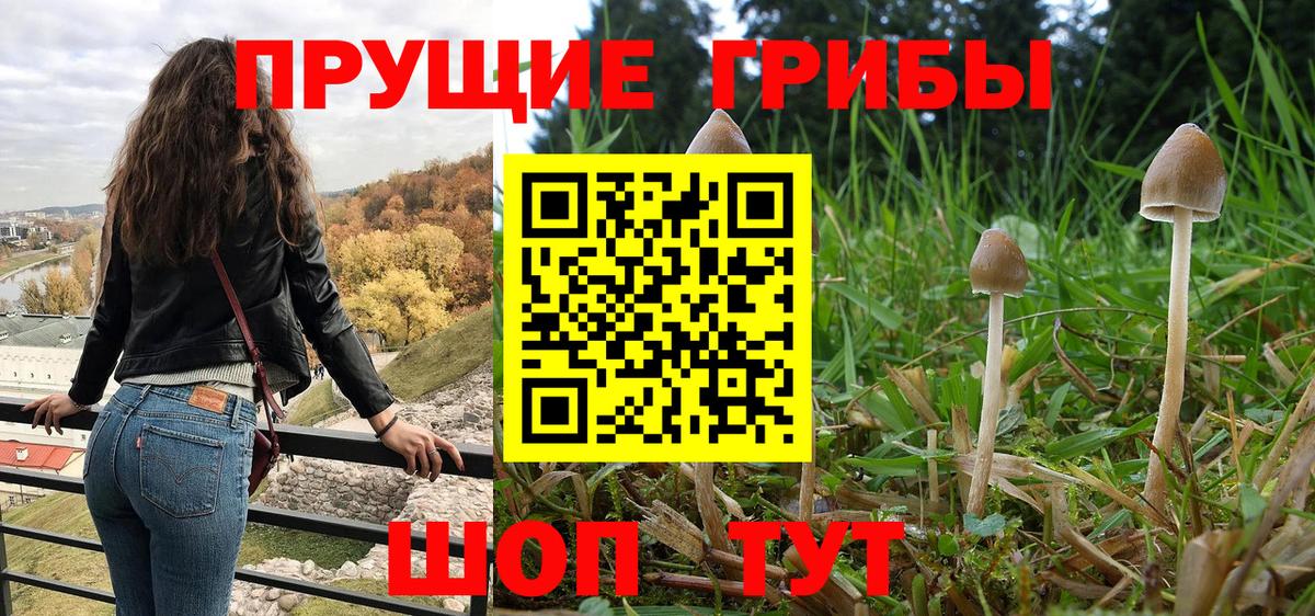 APVP Рославль