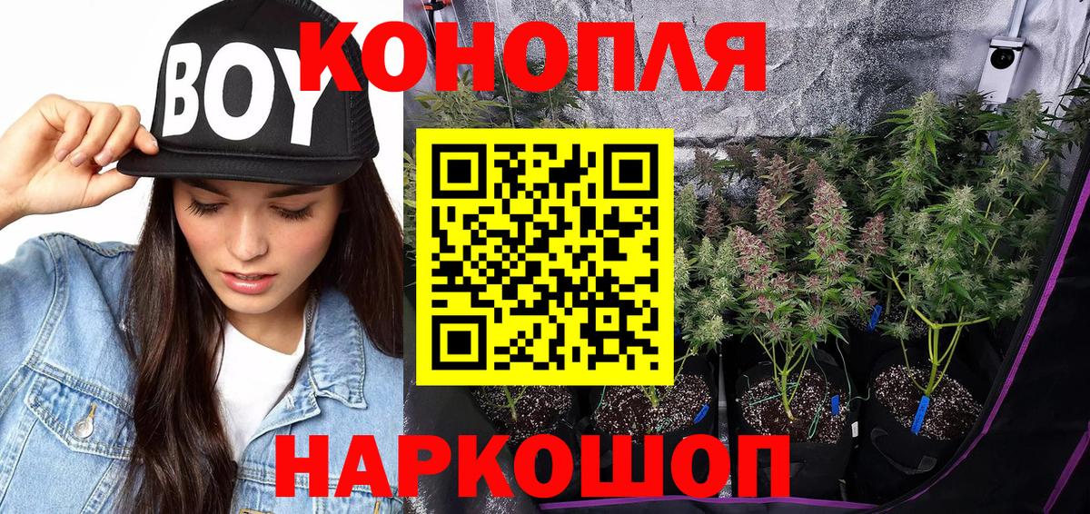МАРИХУАНА гибрид  Конопля конопля  Вход с VPN  Рославль  Канабис White Widow 